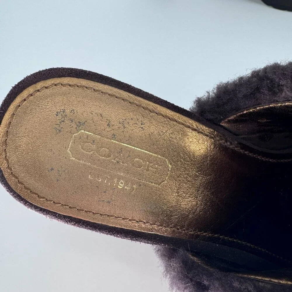 Coach Women’s 7 Brown Suede Shearling Idyle Wooden Heels Clogs Gold Buckle Mules